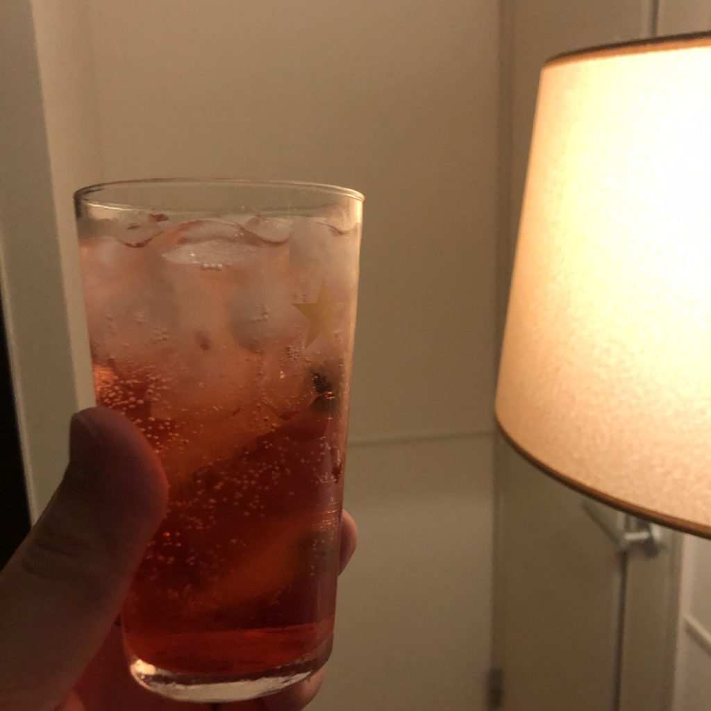 3966514A-5525-4506-9224-95C6ECB1BFF8-1024x1024 【カンパリ×〇〇〇】美味しい組み合わせ3選＋これは辞めとけ